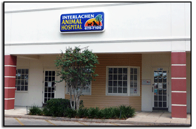 Interlachen Animal Hospital building